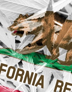California Cannabis laws and legislation news