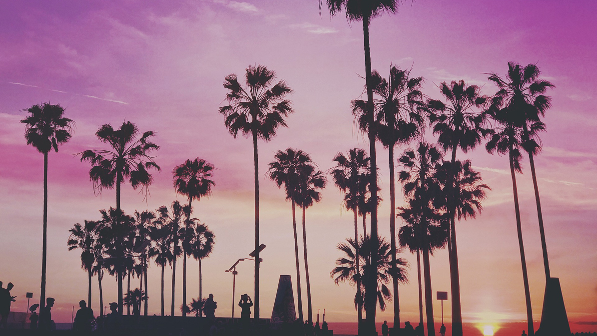 legally buy weed california purple sunset venice beach