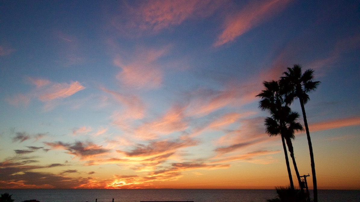 California sunset on beach with palm trees cannabis tourism